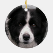 Border Collie Dog Ornament (Achterkant)