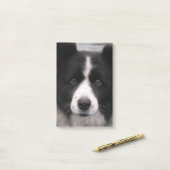 Border Collie Dog Post-it® Notes (Op bureau)