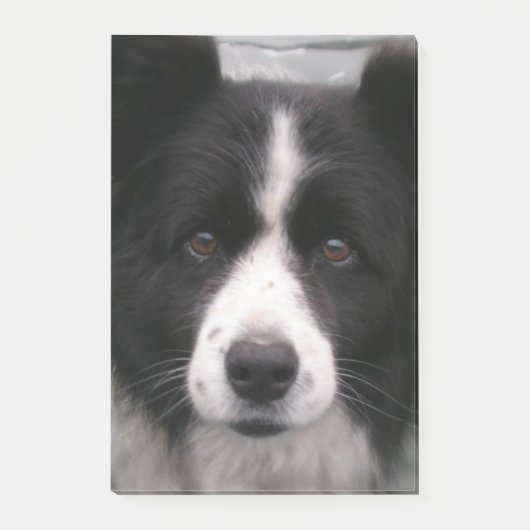 Border Collie Dog Post-it® Notes (Voorkant)