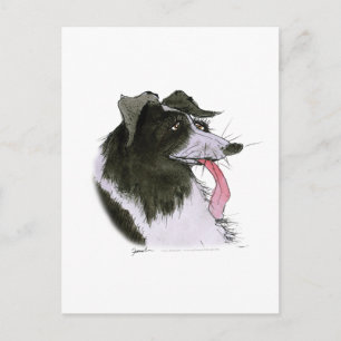 Border Collie dog, tony fernandes Briefkaart