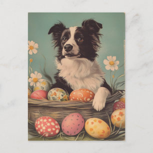 Border Collie  Easter Briefkaart