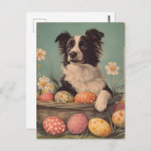 Border Collie  Easter Briefkaart (Voorkant / Achterkant)
