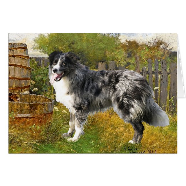 Border Collie en cadre pastoral (Devant horizontal)