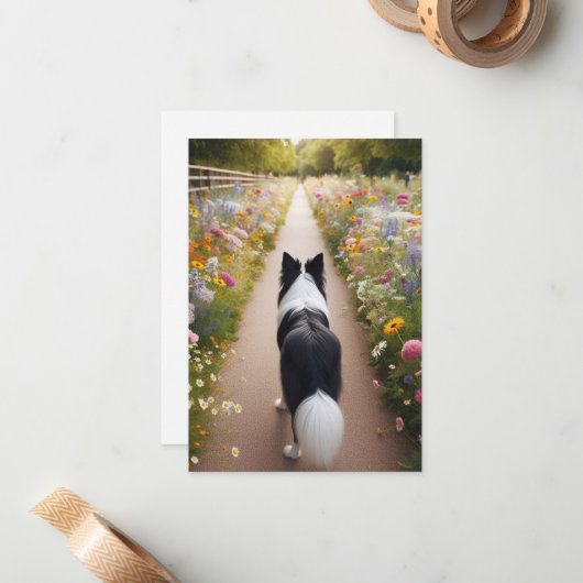 Border Collie Flat Note Kaart met Envelop Notitiekaartje (Voorkant / Achterkant in situ)