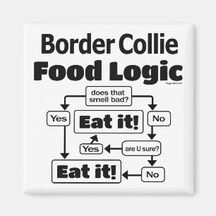 Border Collie Food Logic Magneet