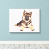 Border Collie German Shepherd Mix Canvas Afdruk (Insitu (Houten vloer))