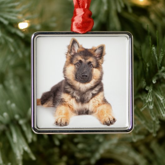 Border Collie German Shepherd Mix Metalen Ornament (Boom)