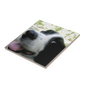 Border Collie Gifts Tegeltje (Zijkant)