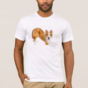 Border Collie Golden Red~T-shirt T-shirt