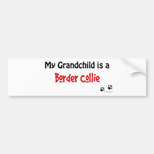 Border Collie Grandchild Bumpersticker