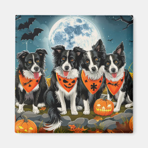 Border Collie Halloween Griezelig Magneet