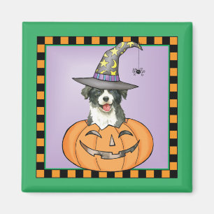 Border Collie Halloween Magnet Magneet