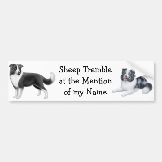 Border Collie Herding Bumpersticker (Voorkant)