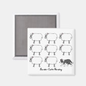 Border Collie Herding Schaap Magnet Magneet (Voorkant / Achterkant)
