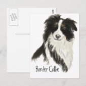 Border Collie Hond Huisdier Dier Briefkaart (Voorkant / Achterkant)