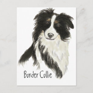 Border Collie Hond Huisdier Dier Briefkaart