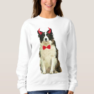 Border Collie Hond in Halloween Trui