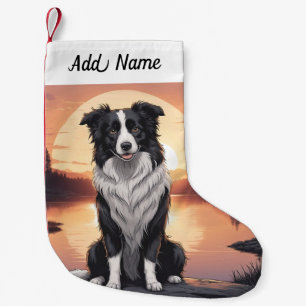Border Collie Hond Kleine Kerstsok
