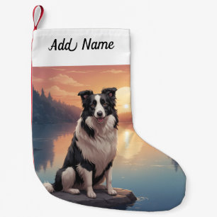 Border Collie Hond Kleine Kerstsok