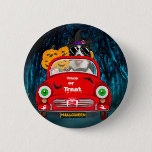 Border Collie Hond Rijdt Auto Griezelen Halloween Ronde Button 5,7 Cm