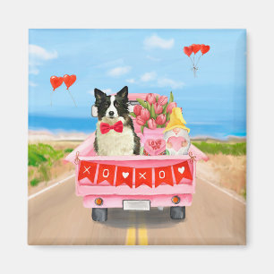 Border Collie Hond Valentijnsdag Truck Hartjes Magneet
