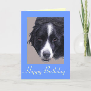 border collie hond verjaardagskaart kaart