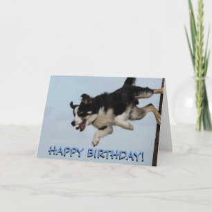 Border collie hond verjaardagskaart kaart