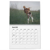Border Collie hondenkalender Kalender (Mar 2026)