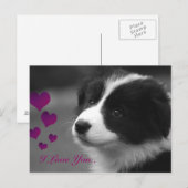 Border Collie, ik hou van je Briefkaart (Voorkant / Achterkant)