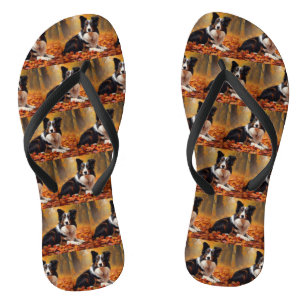Border Collie in de herfst laat Herfst inspireren Teenslippers