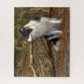 Border Collie in het bos Legpuzzel (Verticaal)