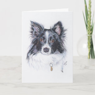 Border Collie Kaart