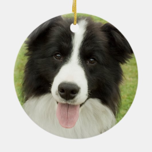 Border Collie Keramisch Ornament (Achterkant)