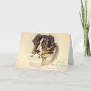 Border Collie Kerst Kaart