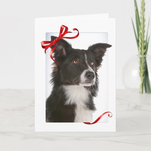 Border Collie Kerst Kaarten (Voorkant)