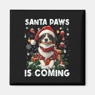 Border Collie Kerstboom Decoraties Hondenliefhebbe Magneet