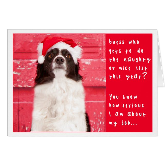 Border Collie kerstkaart (Voorkant Horizontaal)