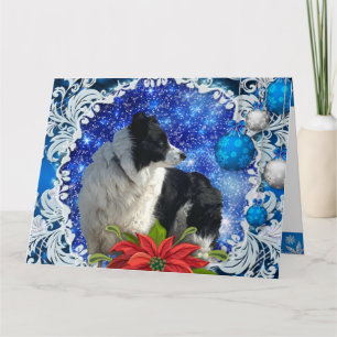 Border Collie kerstkaart Kaart