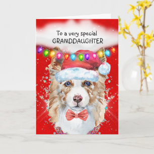 Border Collie kleindochter Kerstwensen Kerstman Kaart