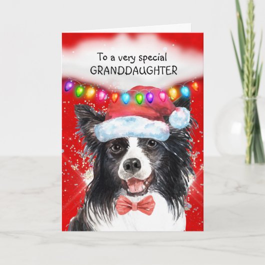 Border Collie kleindochter leuke kerstwensen Kaart (Voorkant)