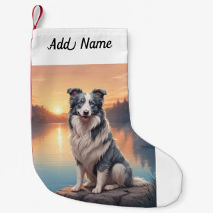 Border Collie Kleine Kerstsok