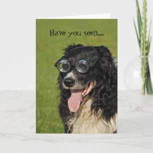 Border Collie Kuddeschapen Kaart