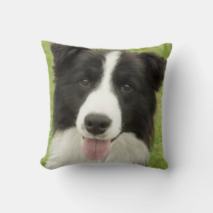 Border Collie Kussen