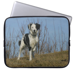 Border Collie Leg opgetild Laptop Sleeve