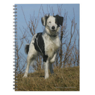 Border Collie Leg opgetild Notitieboek