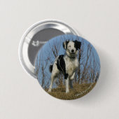 Border Collie Leg opgetild Ronde Button 5,7 Cm (Voorkant /achterkant)