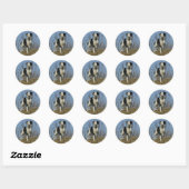 Border Collie Leg opgetild Ronde Sticker (Vel)