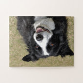 Border Collie Legpuzzel (Horizontaal)