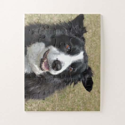 Border Collie Legpuzzel (Verticaal)