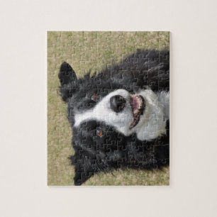 Border Collie Legpuzzel